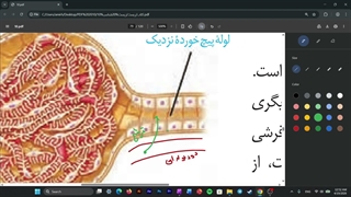 گفتار 2 فصل 5 زیست شناسی دهم (پارت 3)