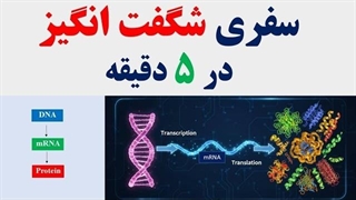 سفر شگفت انگیز: از دی ان ا به هسته سلول- روز جهانی دی ان ای
