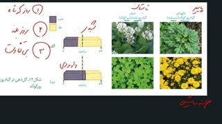 پاسخ به محیط