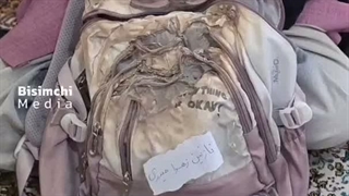 کمک بشر دوستانه بود نه؟