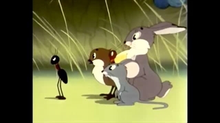 داستان دوستی - جا برای همه هست...