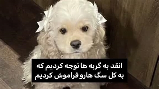 هیم-
