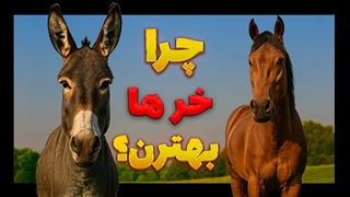 از شیر الاغ تا طب سنتی وعنبرنسار چه چیزی باعث میشه خرها خاص باشن؟