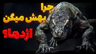 آیا این مارمولک واقعا یک اژدهاست؟