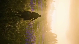 ___