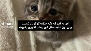 پیر شدم کپ