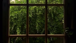 Rainy day