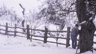 a snowy day in  the village / یک روز دلنشین برفی در دل طبیعت