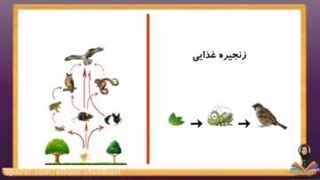تدریس درس زیستگاه بخش دوم