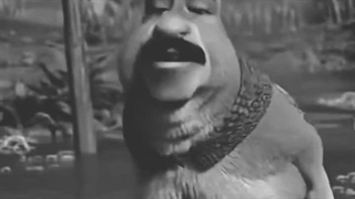 تاریک