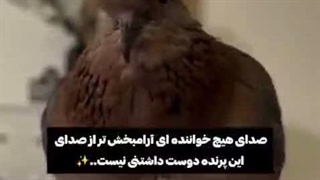 رونمایی از عشقم