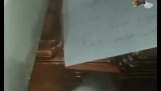 ایزوتوپ تجارت ازاد  قانونی