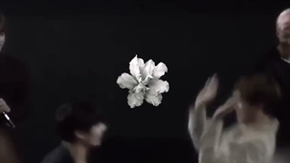 شبتون به زیبایی تهکوک