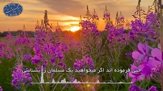 شناخت مسلمان(آیت الله العظمی مظاهری)