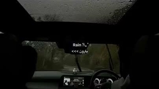 نماشا رید به زندگیم