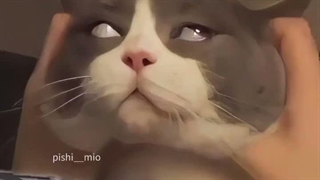 با من از تعادل روان حرف نزنید