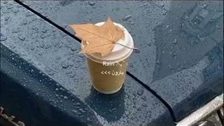سلام سلام.ظهر بخیرررررر