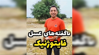عسل فایتوژنیک؛ تلفیق ارزش گیاهان دارویی و شیرینی طبیعت