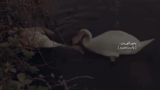 روانی شودممم کپپپپپپشششششننننن