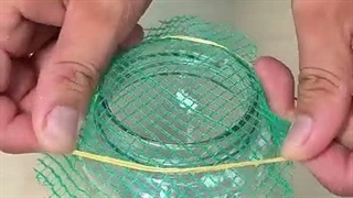 خلاقیت