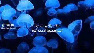 You are My Blue(مخاطببب دارههه)