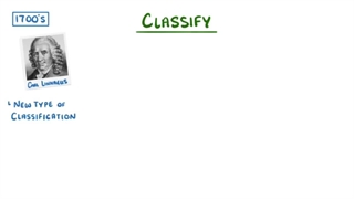 levels of classification
