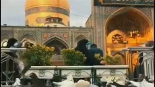 معجزه امام رضا