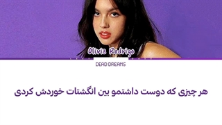 لیریک فارسی آهنگ the grudge از اولیویا رودریگو (Olivia Rodrigo) +متن کد گزاری شده رنگی «Color Coded Lyrics»