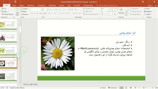 ✔ تحقیق آماده در مورد لیست گل‌های خوراکی در قالب فایل پاورپوینت