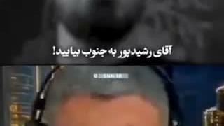 شما ضد جنگ نیستید....شما ضد دفاع در برابر آمریکا هستین...