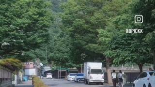 طبیعت زیبا