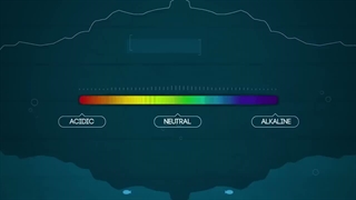 PH scale