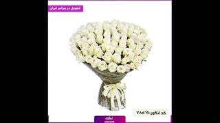 سفارش 50 شاخه رز عاشقانه