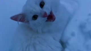 ❛❜