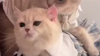 بعد از یکسال