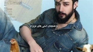 همچنان استی های عزیز