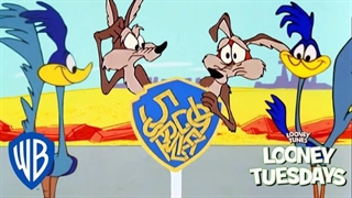 کارتون میگ میگ/ پرنده را بگیر