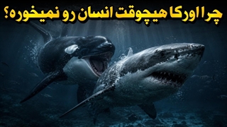 اقیانوس