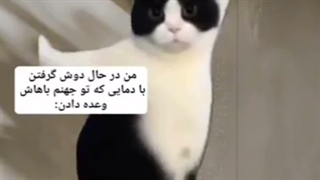 تو حموم چی کار می کنم ؟