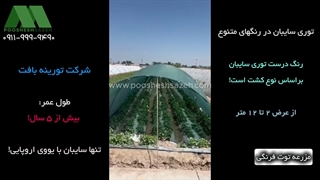 توری شید سبز برای کشت توت فرنگی درسته یا سفید | 09119999490 فروش و تحویل فوری از کارخانه