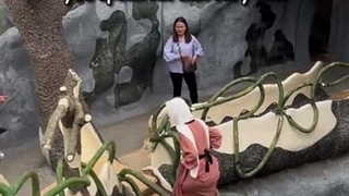 ریکشن کره ای ها به یک فرد مسلمون..... چه بامزه ان!....