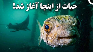 بزرگ ترین سرنخ درباره آغاز حیات!