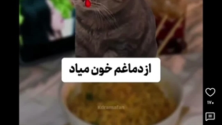 اسکالت نکن دیر نیست جدی میگم آروم باش قول میدم خوب شی  بیا کپ