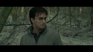 Harry Potter 7 2010 هری پاتر ۷ دوبله پارسی