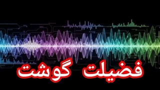 فضیلت گوشت