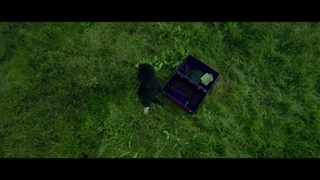 OLDBOY (2003) Official Trailer