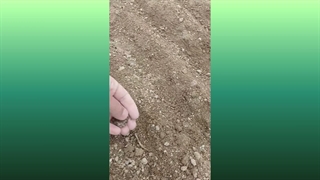 آموزش کاشت سبزیجات (کرت بندی  باغچه)