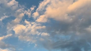¬¢¬رونوشت