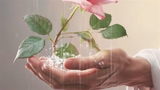 پیامبر اکرم تقسیم کننده رحمت الهی