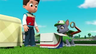 Paw Patrol - Pups Save a Runaway Rooster